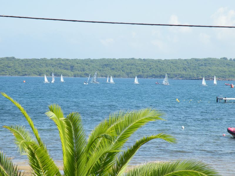 Tuesday afternoon race